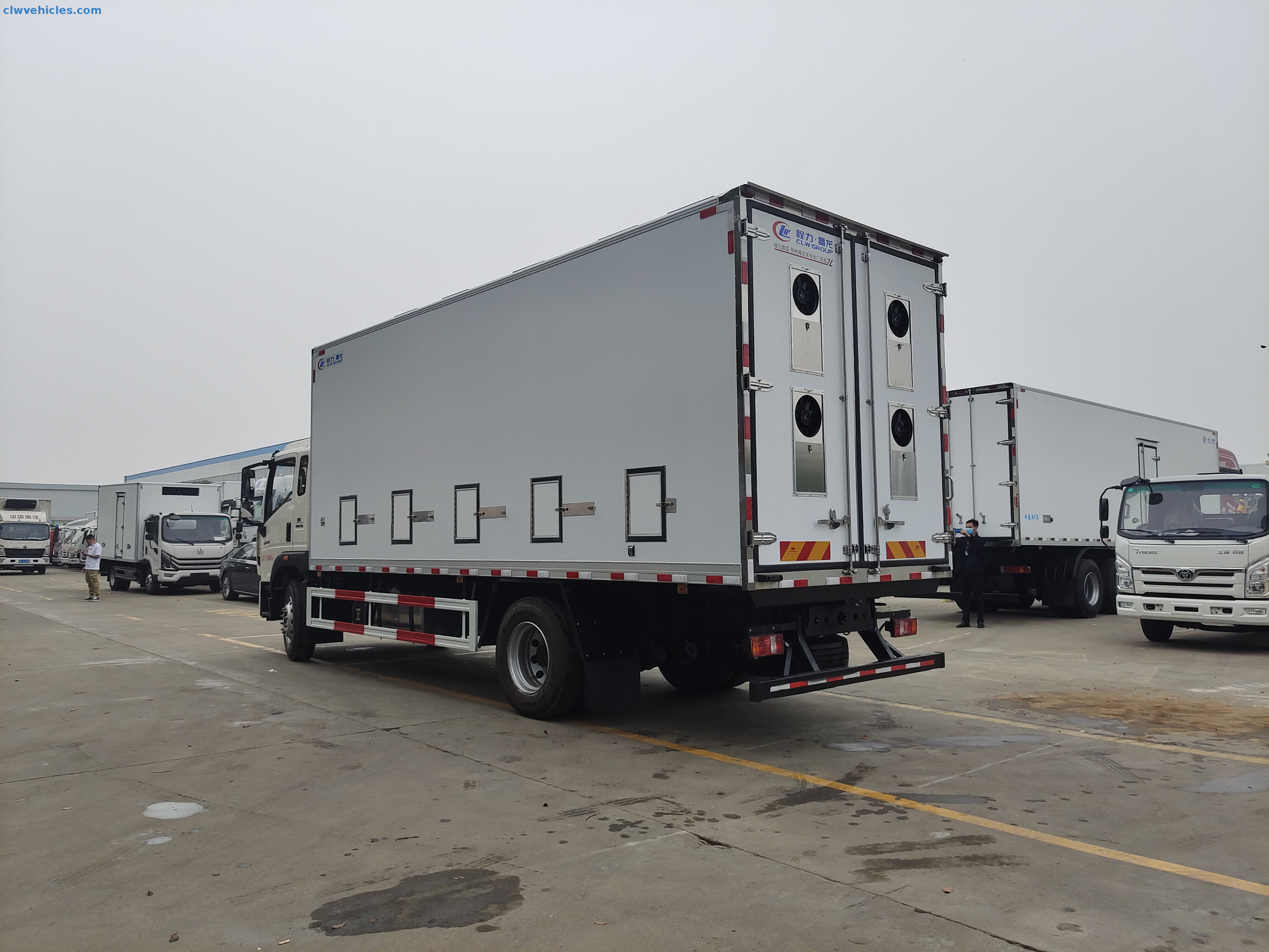 HOWO 4x2 Baby Chick Transport Truck