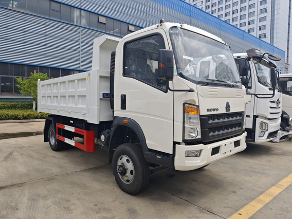 HOWO 4x2 4tons Dump Truck