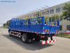 Shacman 4x2 Military Troop Carrier Truck